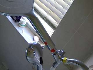 voyeurcam charleys bathroom